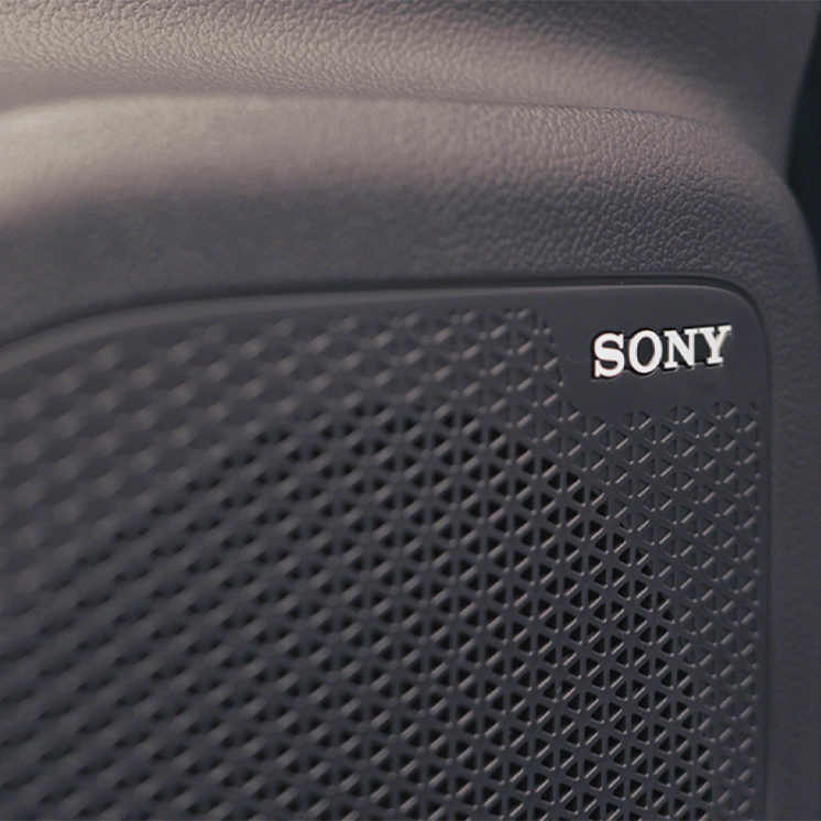 Sony® surround sound system<sup>±</sup>